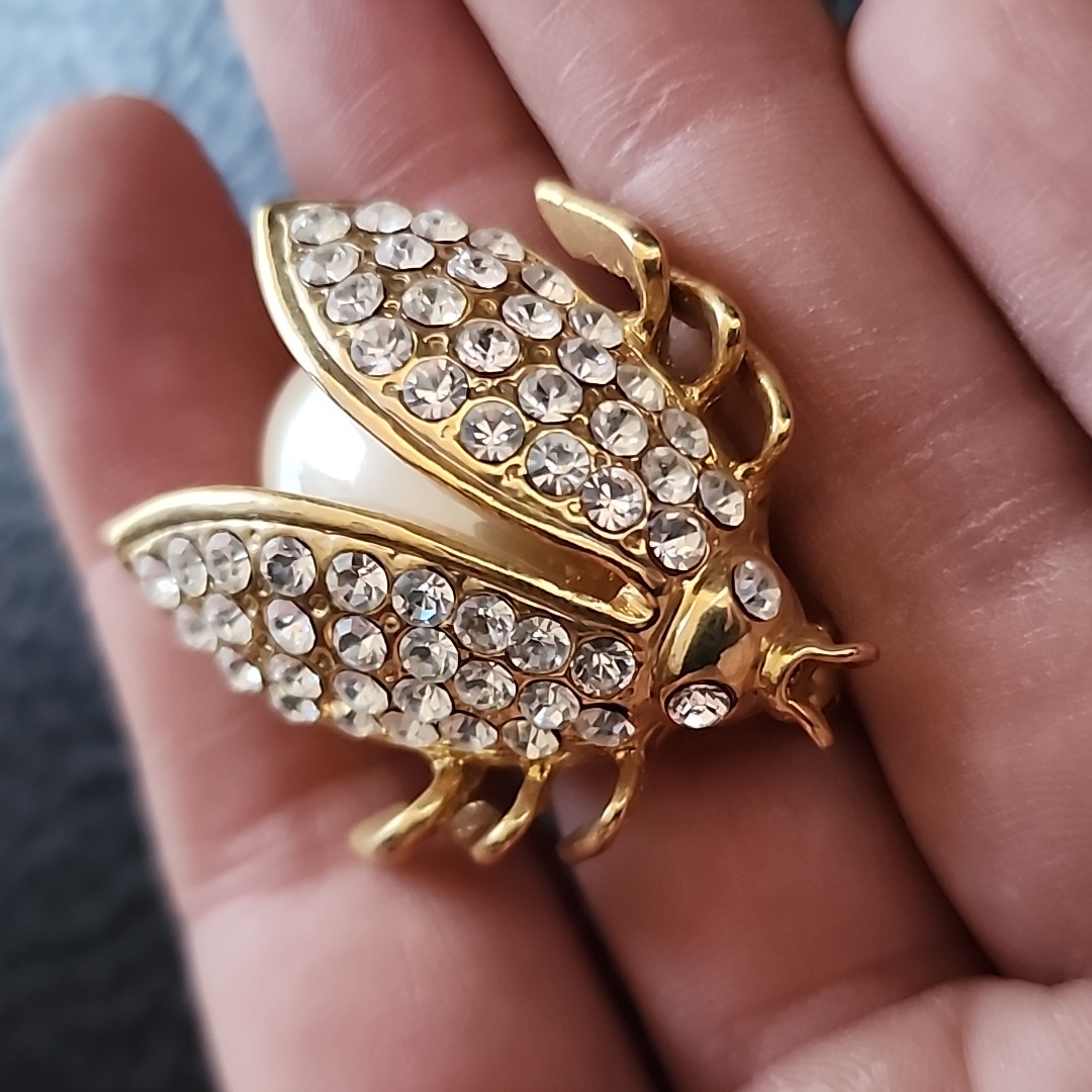 Bug Brooch